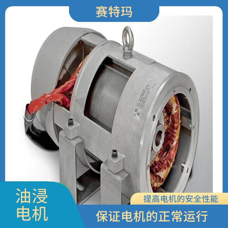 上海油浸电机厂家 外壳被油浸泡 起到冷却电机的作用