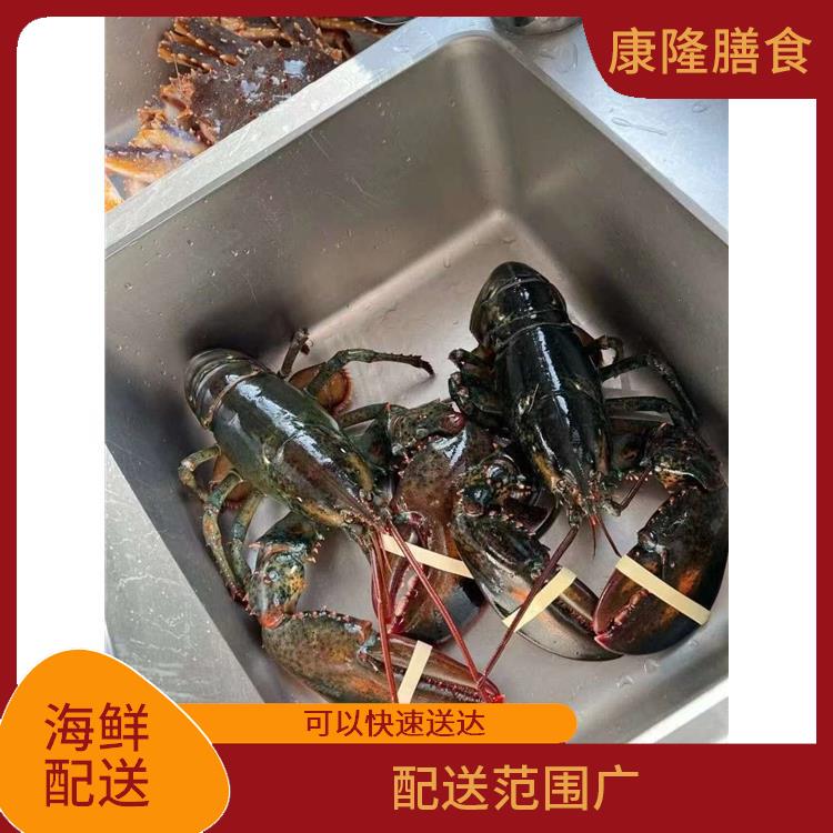 东莞麻涌镇海鲜配送 丰富多样