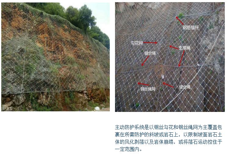 重庆被动防护网 APS-025主动防护网 可提供落石冲击报告