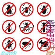上海幼儿园消杀除四害 除蟑螂灭蚊蝇 小区除蟑螂灭鼠