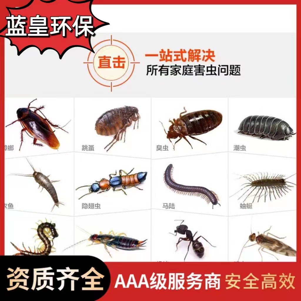 上海卢湾区超市除蟑螂灭蚊蝇 家庭除螨除四害 24小时上门服务