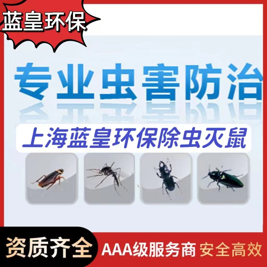 上海宝山区除虫灭鼠电话--上海黄浦区除白蚁服务