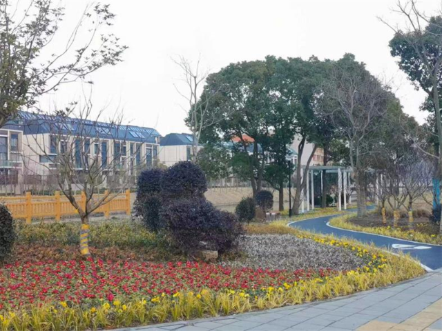 草坪绿化工程有限公司 上海市稚春绿化养护供应
