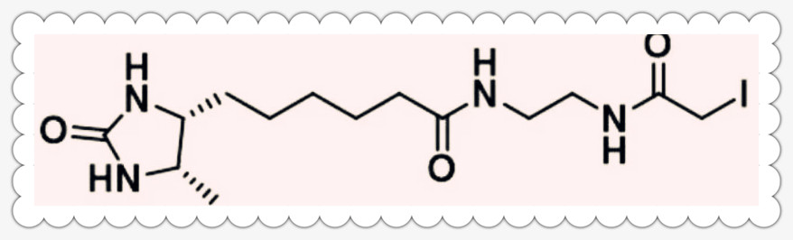 Desthiobiotin-Iodoaceta..