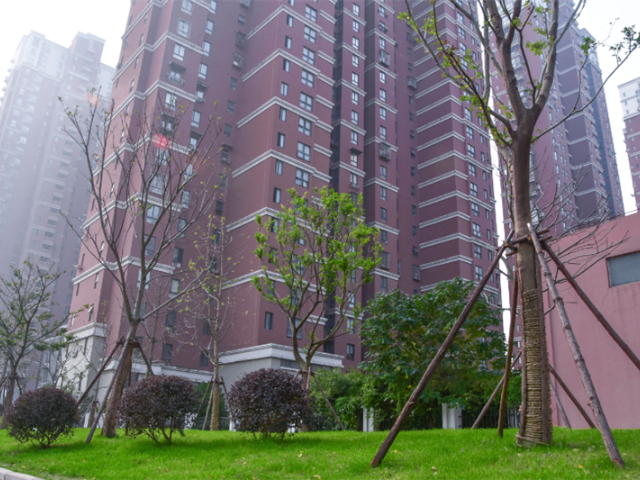普陀区景观绿化工程服务 推荐咨询 上海市稚春绿化养护供应