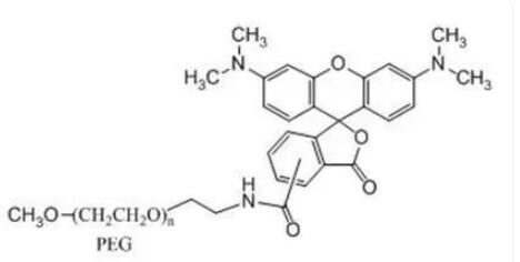 mPEG-Rhodamine   010