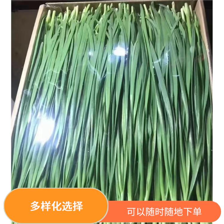 东莞谢岗蔬菜配送 干净卫生 能满足不同菜品的需求