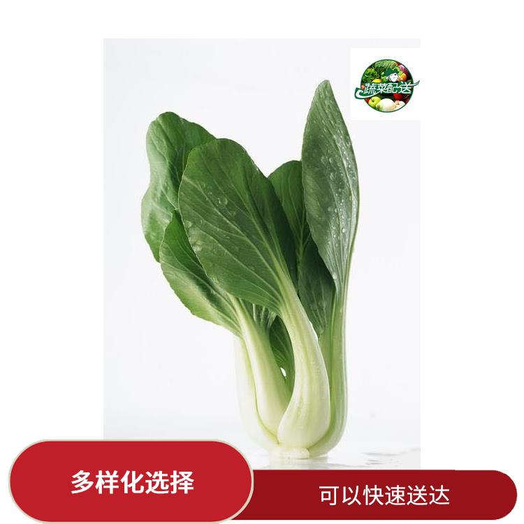 东莞南城食材配送公司电话 提高膳食质量 搭配均匀