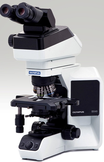 奥林巴斯Olympus BX43正置生物显微镜-临床显微镜
