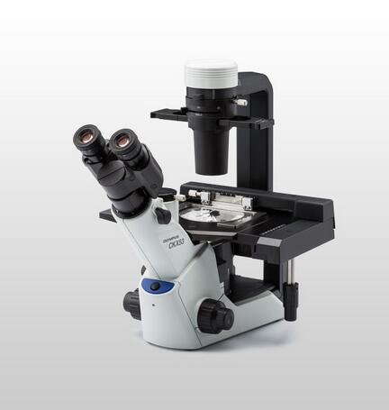 奥林巴斯Olympus CKX53倒置显微镜-细胞培养用显微镜
