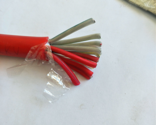 ZR-KFGP2-6x1.5耐低温硅橡胶电缆
