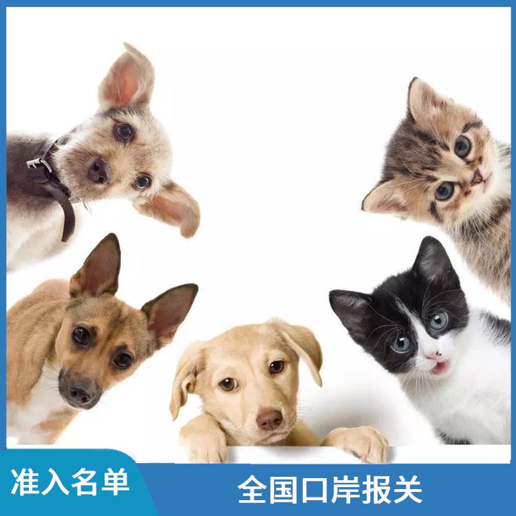 厦门猫粮进口报关批发 宠物粮报关公司 保证宠物食品的安全性