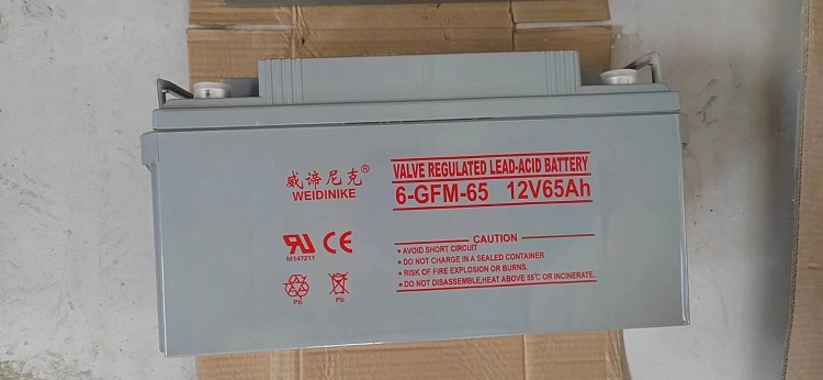 威谛尼克12V65AH 6-GFM-65 UPS电源直流屏 铅酸蓄电池