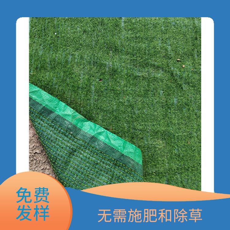 肇庆假草坪出售 不易磨损和变形 可按需定制