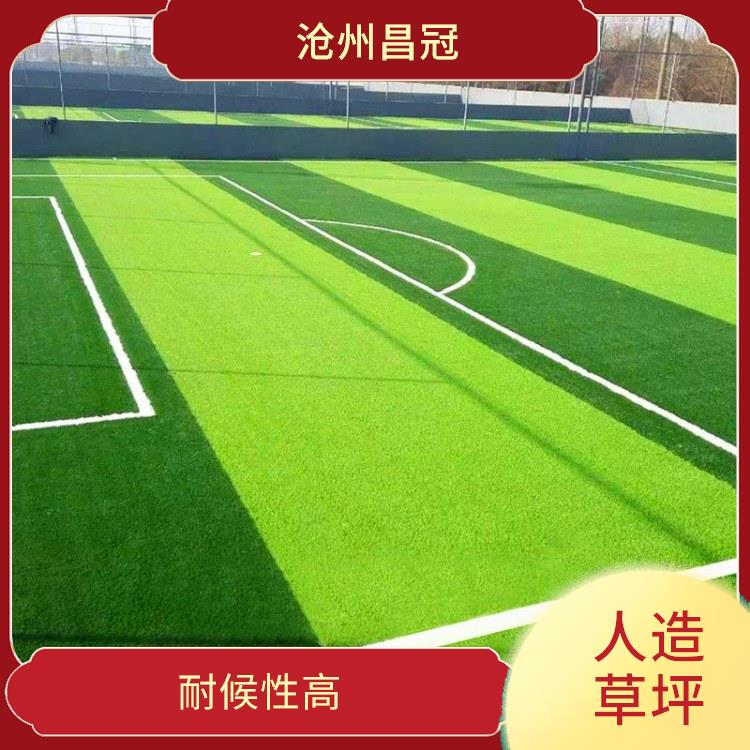 济南人造草坪材料生产 防水 防滑 绒密度高