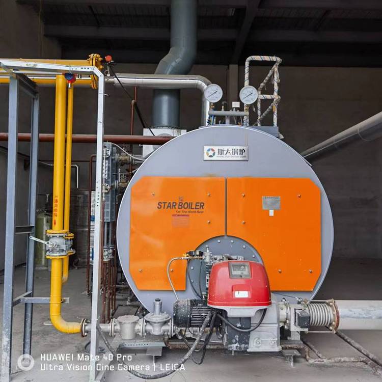 韩国独资斯大集团 1-10吨卧式冷凝低氮蒸汽锅炉 欢迎来厂考察