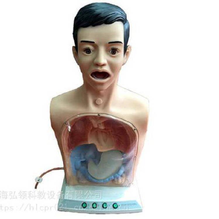 弘领上半身护理人模拟人带警示透明洗胃机制模型