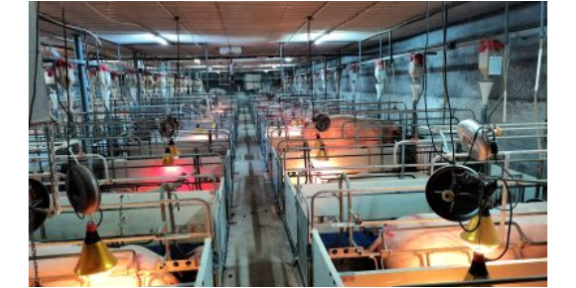 海南数字化猪场除臭系统养殖 广州荷德曼农业科技供应