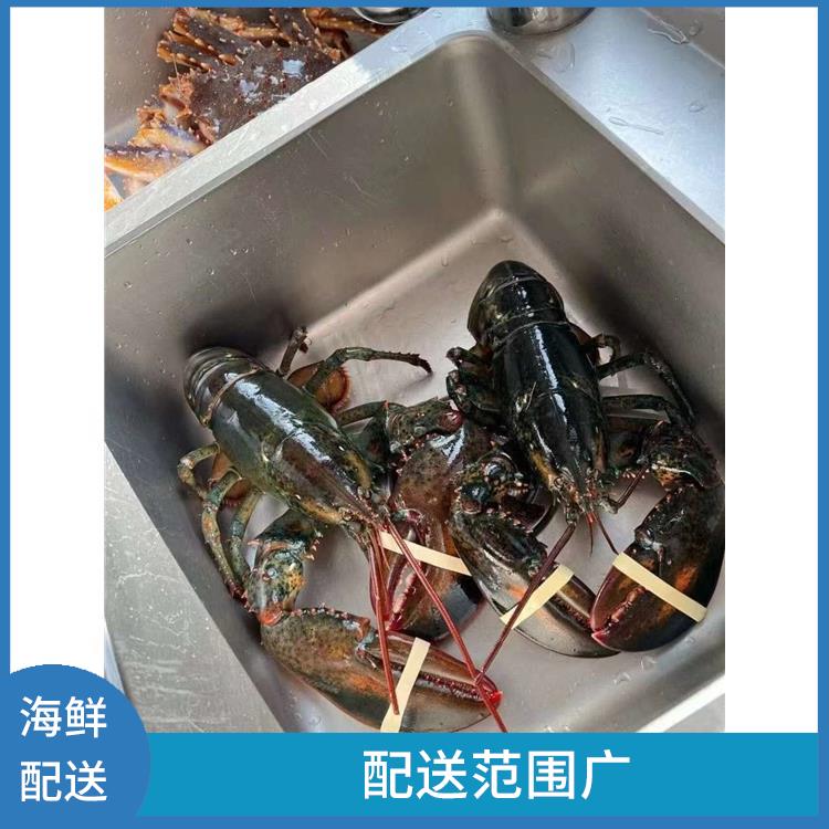 东莞樟木头海鲜配送平台 能满足不同菜品的需求