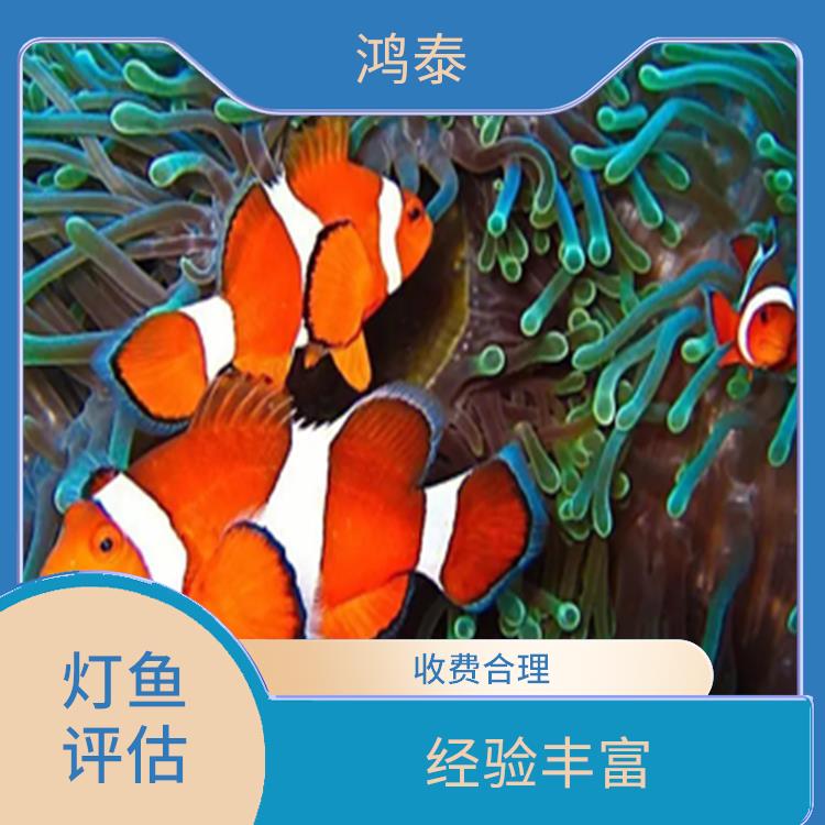 荆州市水族馆价值评估 经验丰富 全程标准化操作
