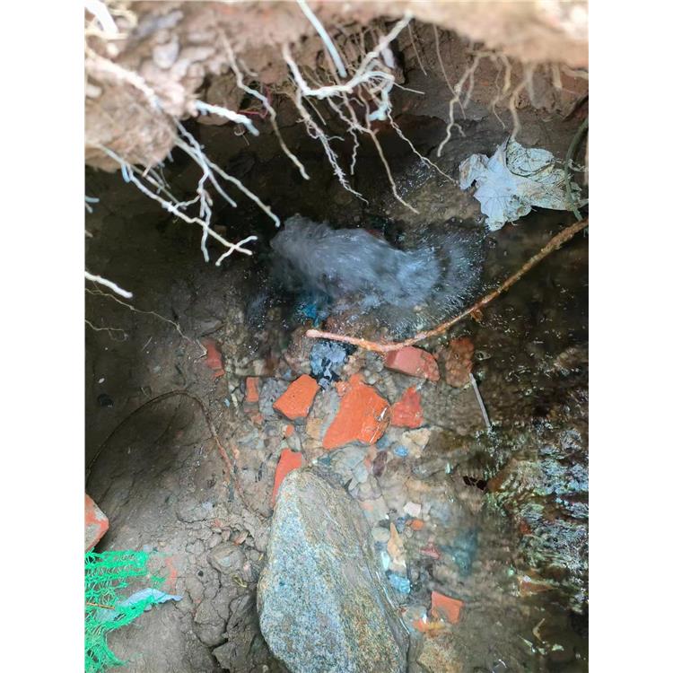 清远工业园区地下水管漏点探测 维修漏水有**