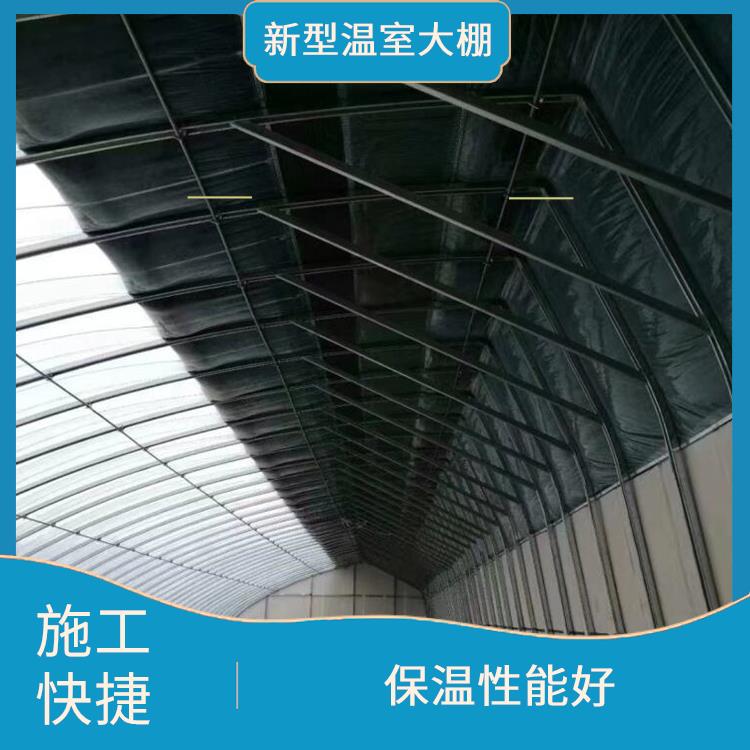 天津新型阳光板温室大棚安装 新型温室大棚