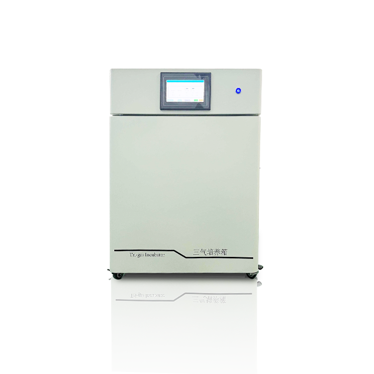 低氧培养装置CYSQ-80-III三气培养箱 高氧培养