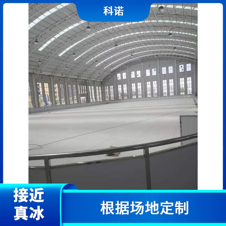 武汉国产好质量仿真冰场费用预算|2024冰场投标厂家