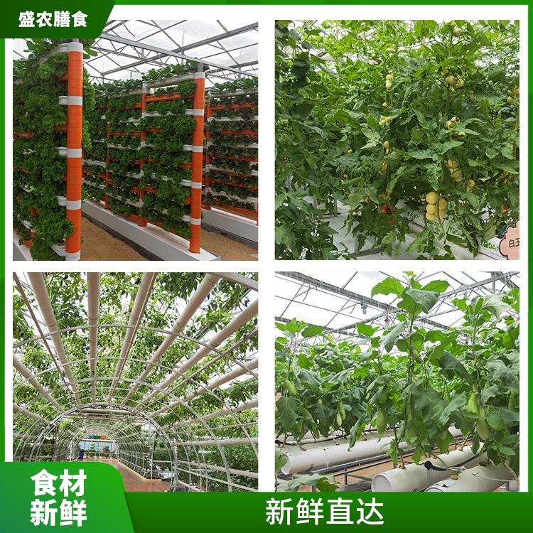 松山湖蔬菜配送服务公司 食堂送菜上门服务 提供新鲜平价一站式蔬菜批发服务