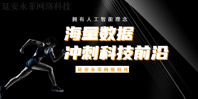 耀州区短视频推广营销 诚信为本 延安市永菲网络科技供应