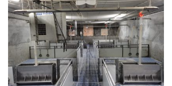 云南自动化干湿料槽品牌商家 广州荷德曼农业科技供应
