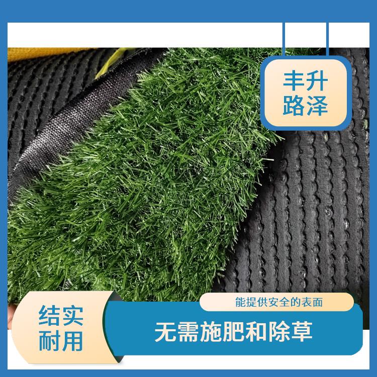 惠州假草坪价格 能提供安全的表面 结实耐用