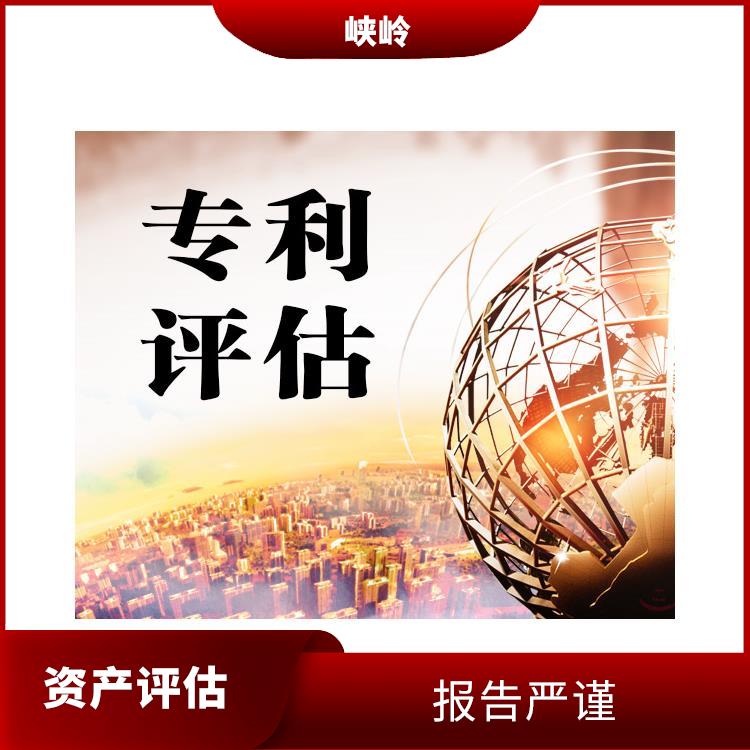 雅安资质价值评估评估费用 评估业务范围广