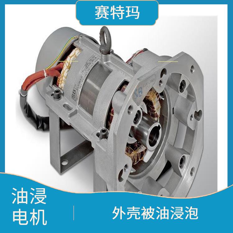 上海油浸电机厂家 负载能力强 起到冷却电机的作用