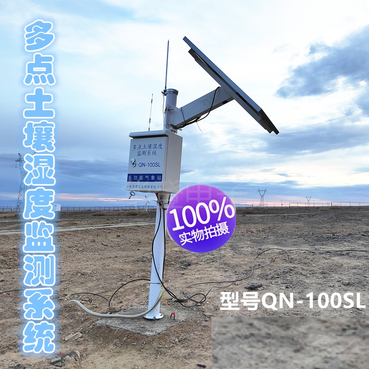 多点土壤湿度监测系统QN-100SL-华登电子
