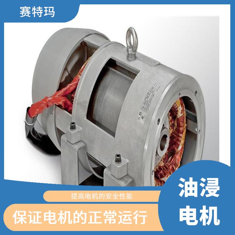 上海油浸电机价格 使用寿命较长 减少电机的振动和噪声