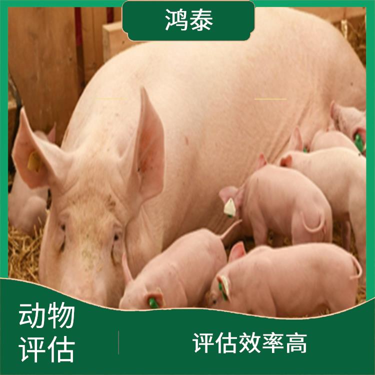 信阳市猪场猪舍评估 收费合理 可靠性较高
