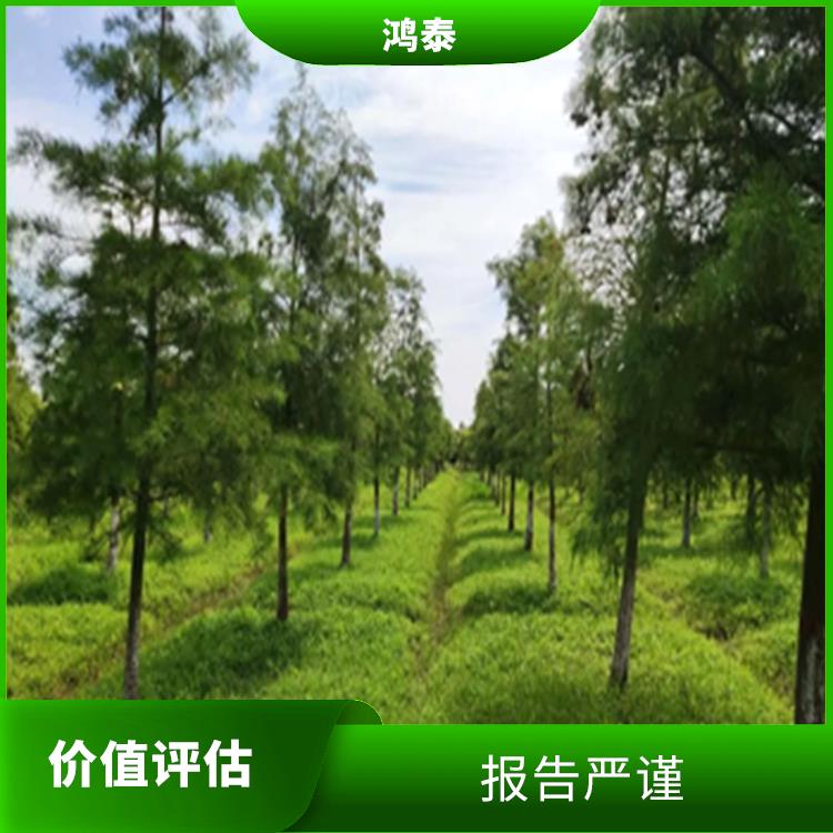 北京市果树评估 评估效率高 全程标准化操作
