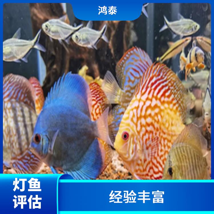 荆州市鹦鹉鱼评估 收费合理 评估业务范围广