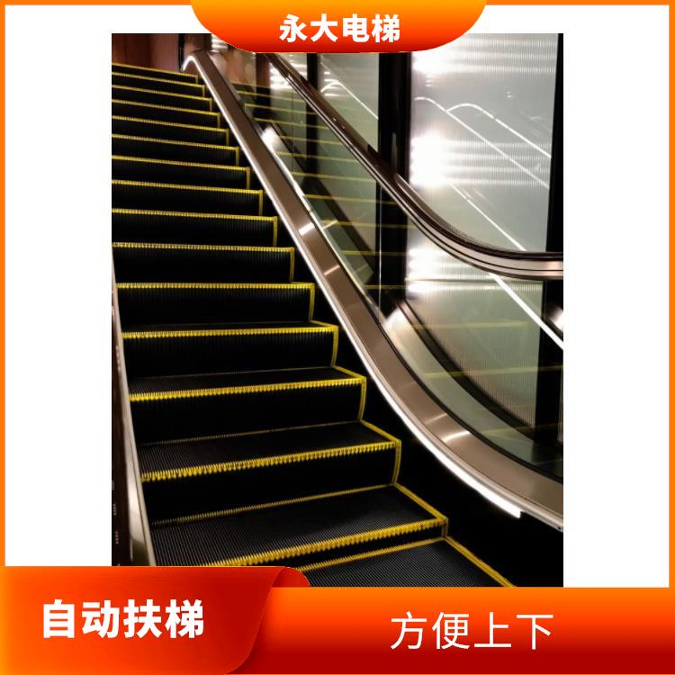 永州自动扶梯供应 操作简单 性能安全舒适