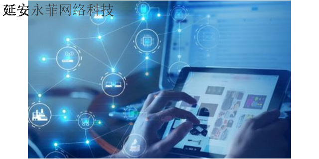 洛川数字化转型升级 诚信为本 延安市永菲网络科技供应