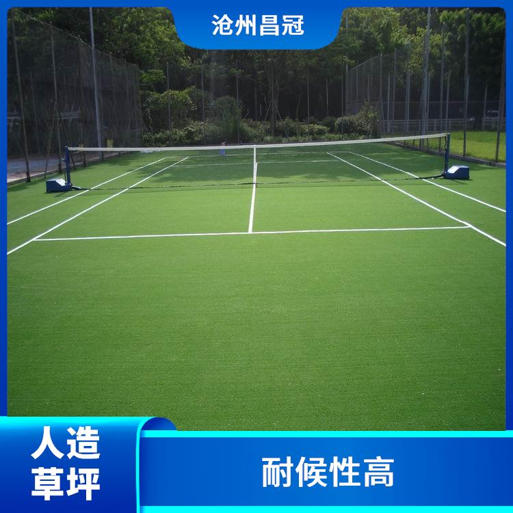 重庆门球场人造草坪 抗老化 耐磨 耐候性高