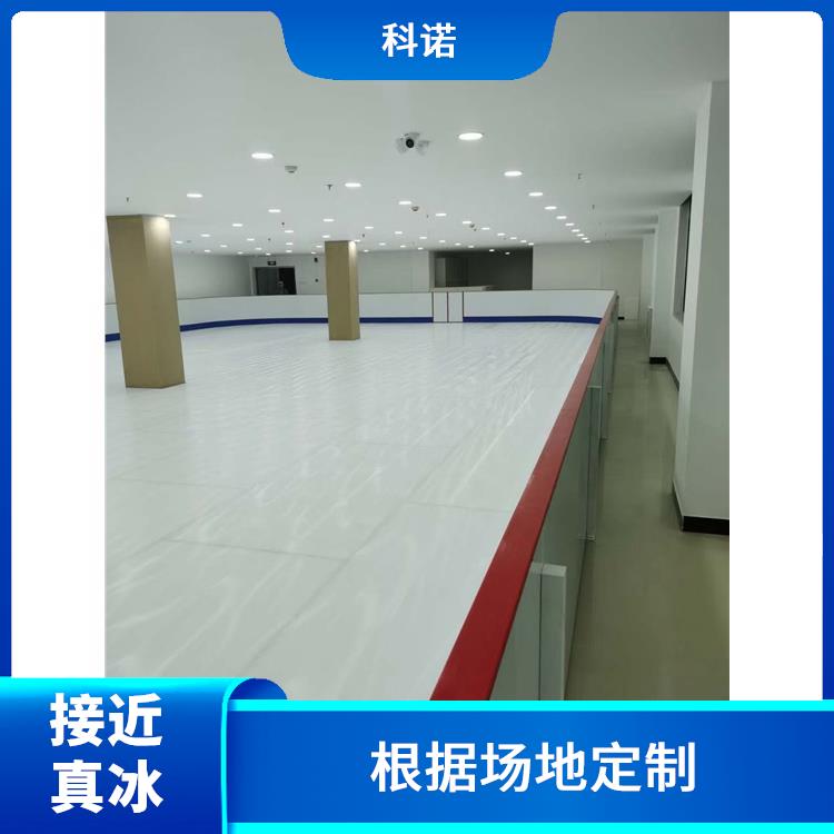 南京国产好质量仿真冰场价格|可移动冰场设备