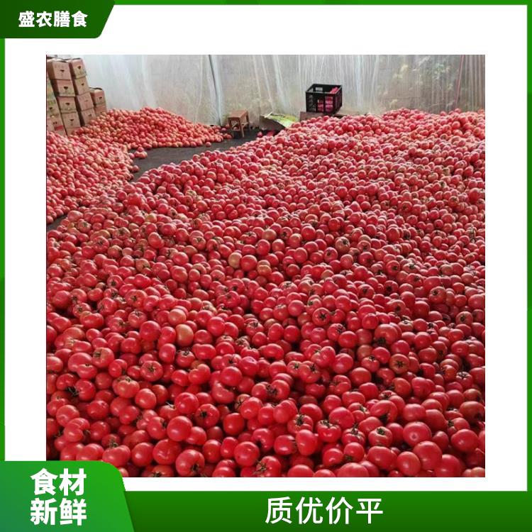 深圳餐饮服务公司 职工食堂蔬菜配送 大型的蔬菜配送公司