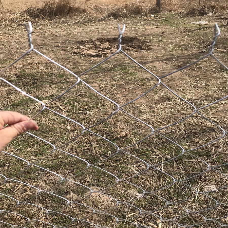 种植围栏防护网镀锌钢丝不生锈圈地围栏圈果园防护网新型拧边勾花货源