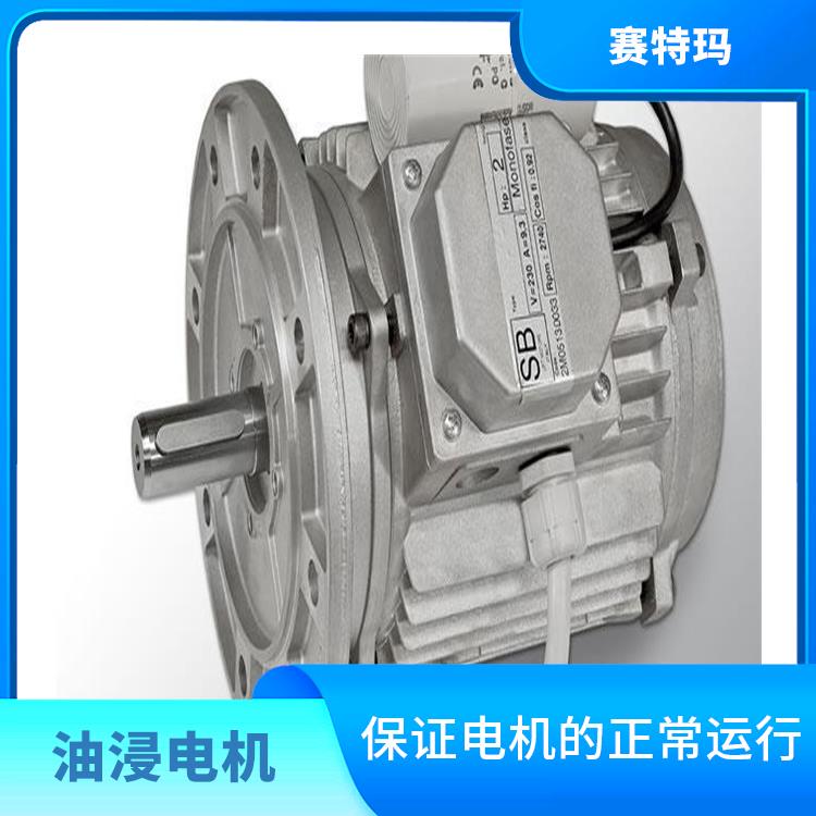 上海油浸电机厂家 使用寿命较长 减少电机的振动和噪声
