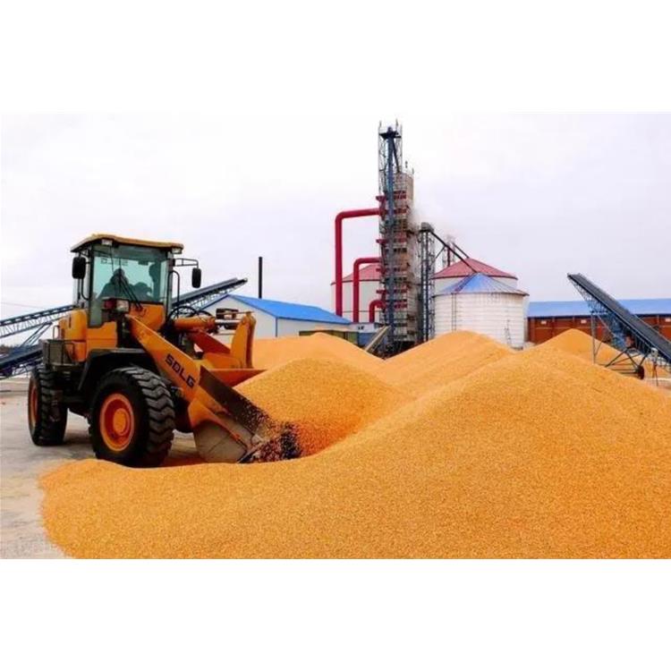 天津北京收购玉米厂家