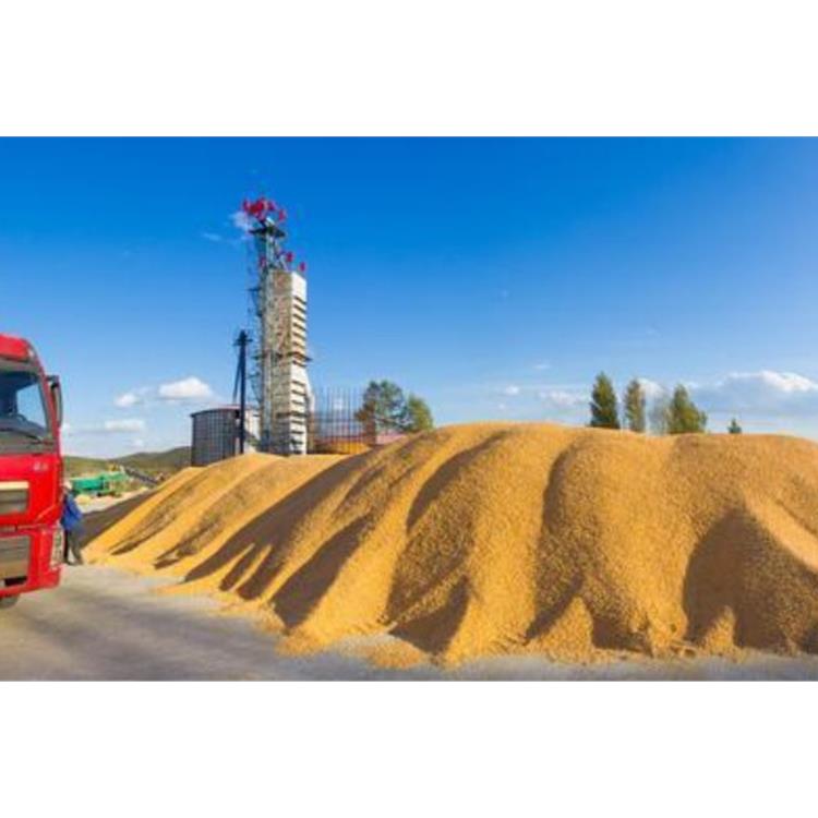 天津收购玉米公司厂家