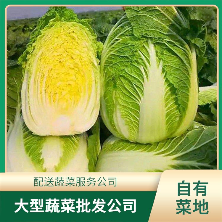 江门鹤山饭堂食材配送服务公司 大型蔬菜批发公司 大型批发市场提供平价送菜服务