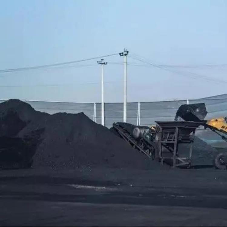 浙江大量收购动力煤